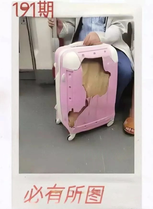 1000056316.jpg