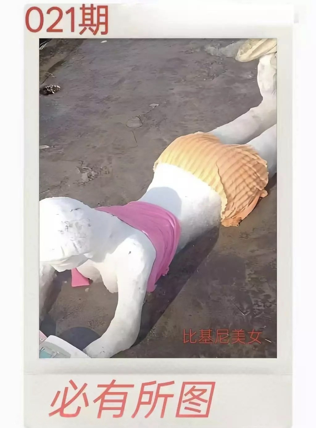 1000074958.jpg