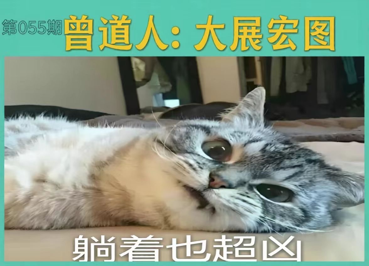 aa8b35347a19edc1ce0cddfded8540ea.jpeg