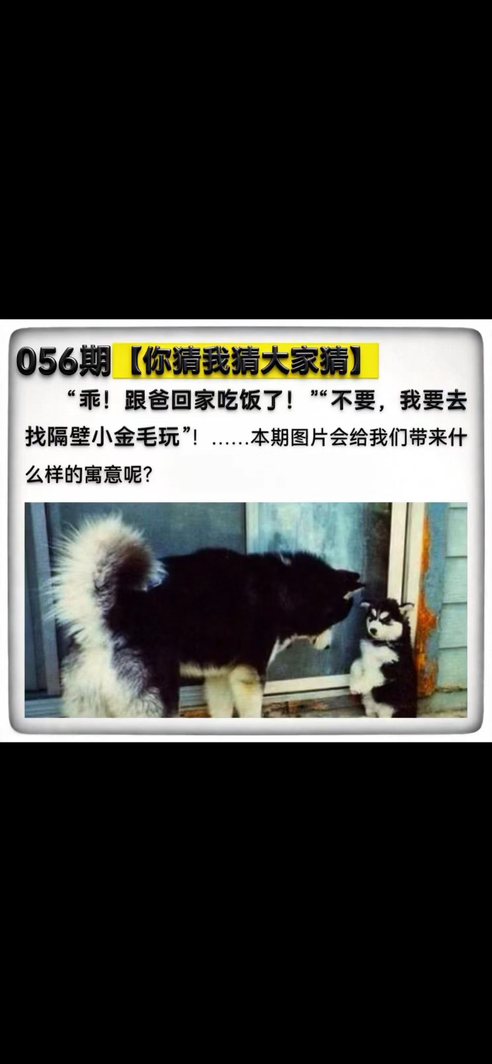IMG_8191.png